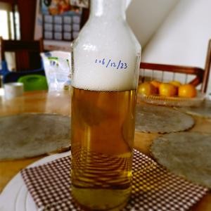 自制天然洗洁精的做法 步骤9
