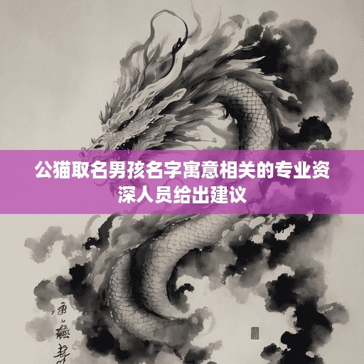 公猫取名男孩名字寓意相关的专业资深人员给出建议