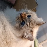 书瀛。