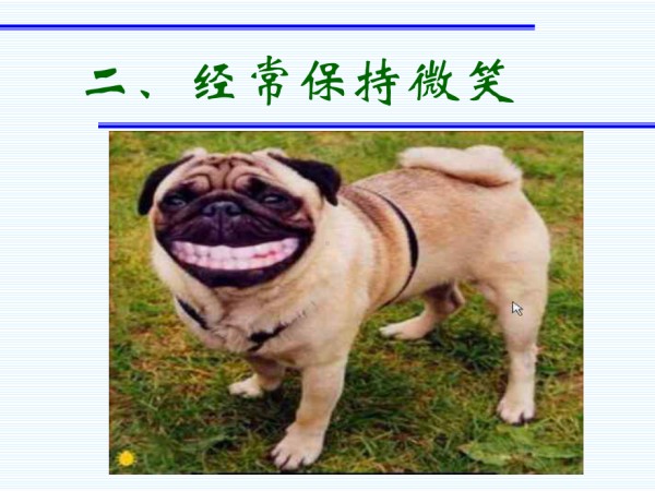 甘肃省平凉市庄浪县南湖镇初级中学-主题班会-动物的快乐哲学（课件）.ppt_第3页