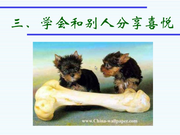 甘肃省平凉市庄浪县南湖镇初级中学-主题班会-动物的快乐哲学（课件）.ppt_第4页