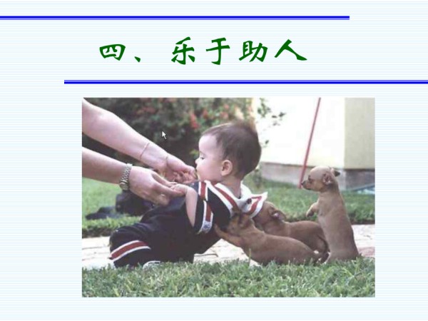 甘肃省平凉市庄浪县南湖镇初级中学-主题班会-动物的快乐哲学（课件）.ppt_第5页