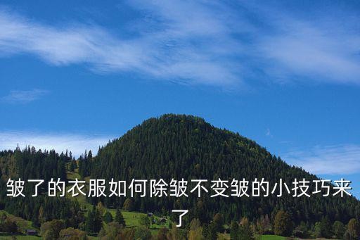 皱了的衣服如何除皱不变皱的小技巧来了
