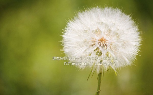 一万信用卡逾期五年: 工作与生活的压力及应对策略