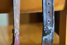 家里四处“长毛”!如何除霉?家政人士来支招→图片