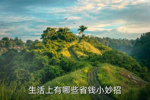 生活上有哪些省钱小妙招