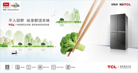 TCL冰箱洗衣机产品创新的市场身法与心法 
