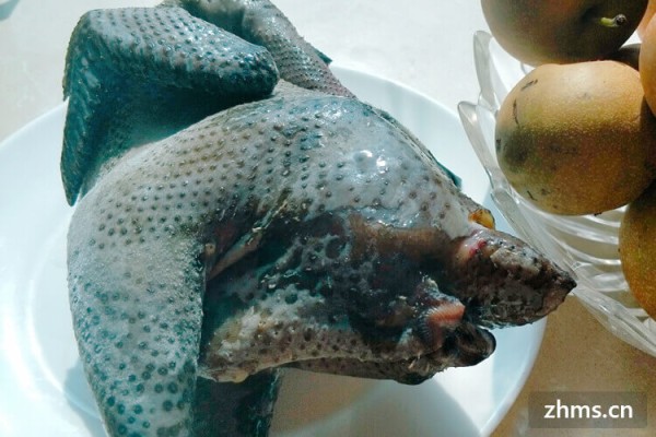 孕妇营养餐食谱大全