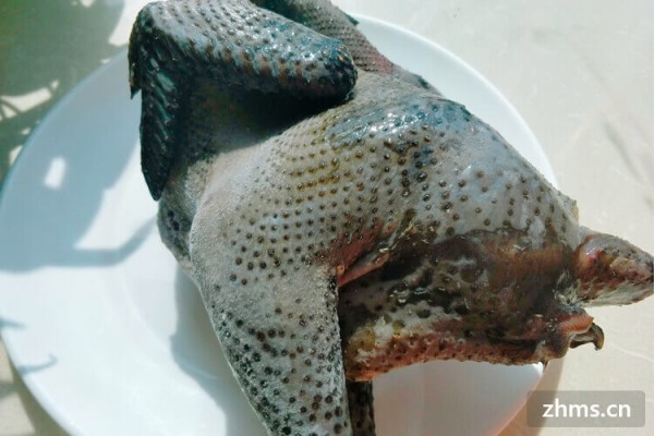 孕妇营养餐食谱大全