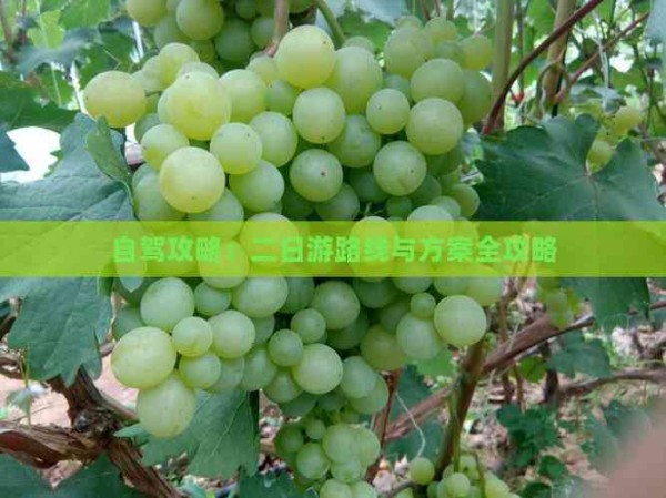 自驾攻略：二日游路线与方案全攻略