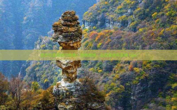全方位自驾旅行攻略：经典路线、必玩景点与实用 tips