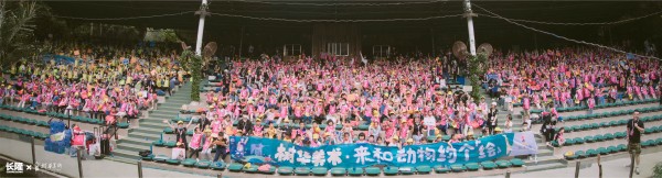 e62ea22c22adc426.jpg