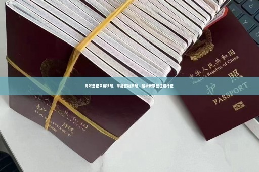 高效签证申请攻略，掌握营销策略，轻松获取签证通行证