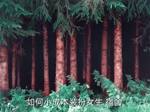 如何小成本装扮女生 宿舍
