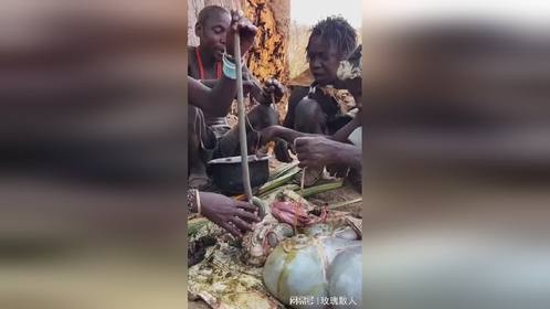 自然美味：羚羊内脏与毛肚搭配，熬制金黄浓汤的秘诀揭秘