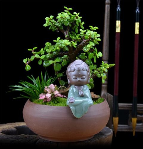 金枝玉叶的盆景方法，造型优美，雅趣生活！