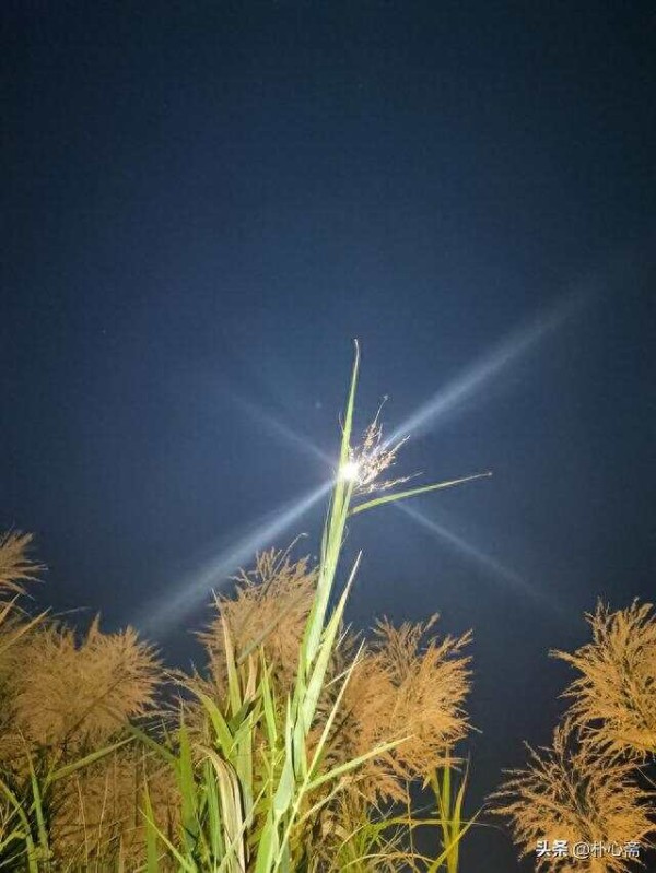 疫情后时代，7种必须改变的生活习惯