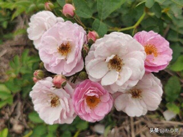疫情后时代，7种必须改变的生活习惯
