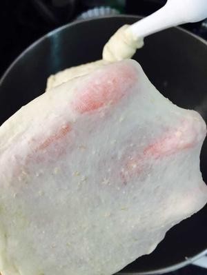 简单好吃又不胖的 低脂全麦面包的做法 步骤4