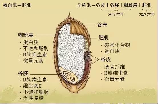 一张图教你看懂全麦面包、营养面包和普通面包的营养差别！