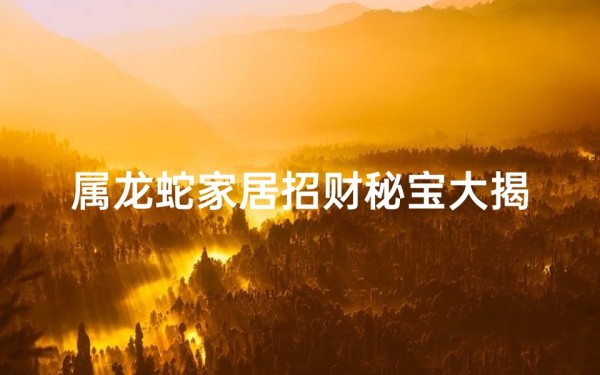 属龙蛇家居招财秘宝大揭秘
