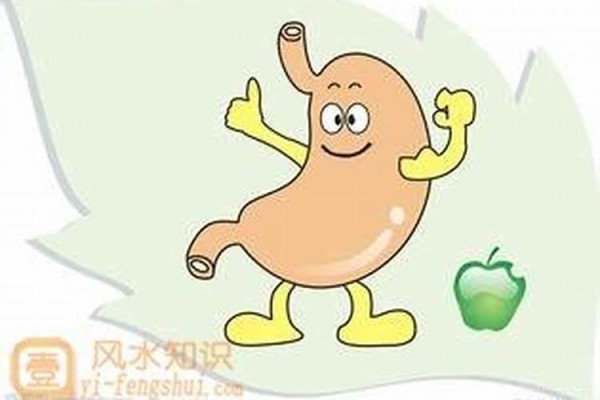 家居风水哪里主肠胃？