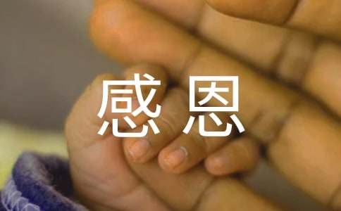 精选感恩生活作文（通用35篇）