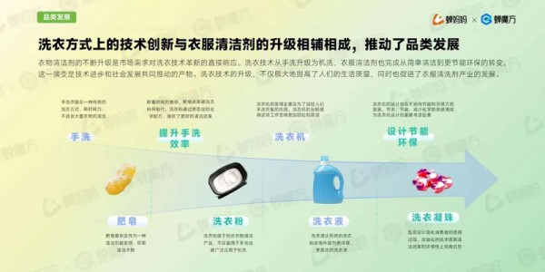 2024年衣物清洁用品市场分析