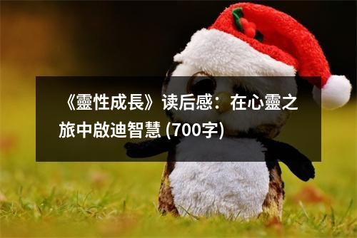 《靈性成長》读后感：在心靈之旅中啟迪智慧 (700字)