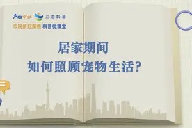 居家期间,如何照顾宠物生活?图片