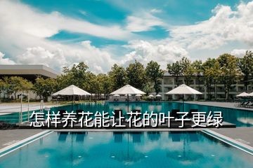 怎样养花能让花的叶子更绿