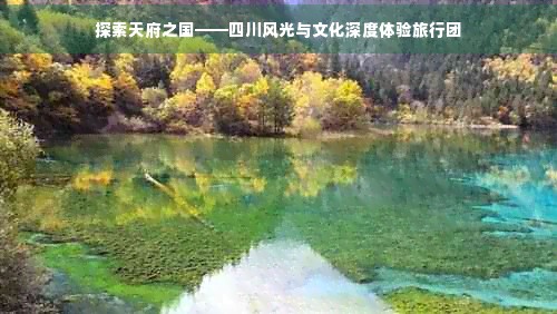 探索天府之国——四川风光与文化深度体验旅行团