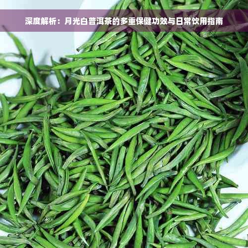 深度解析：月光白普洱茶的多重保健功效与日常饮用指南