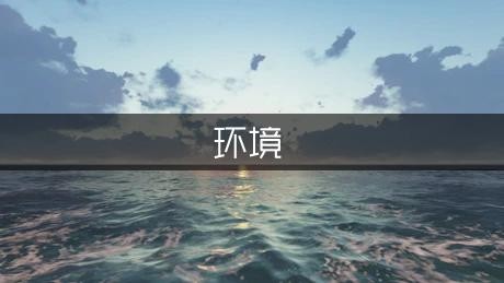 家乡环境情况调查