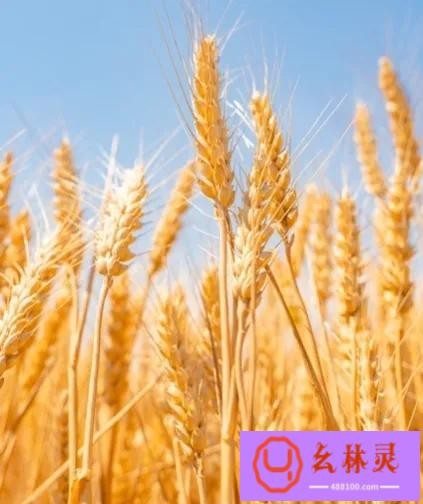 关于节约的名言警句(我们需要牢记的饮食和节约粮食的名言名句)