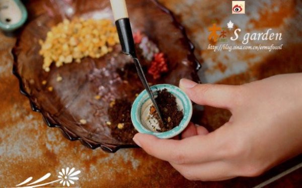 DIY-掌上的多肉植物花园