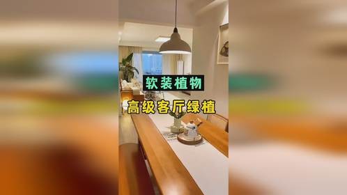 高颜值客厅绿植，瞬间提升软装档次，高级感满满