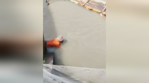 如此奇特的捕鱼方式，你见过吗