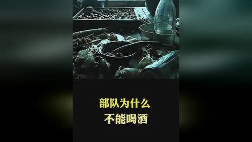部队为什么不能喝酒