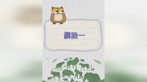 奇怪的动物鬃狼一