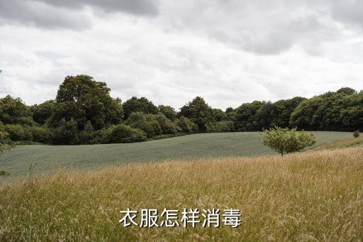 衣服怎样消毒
