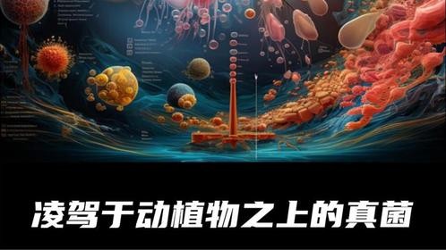 凌驾于动植物之上的真菌