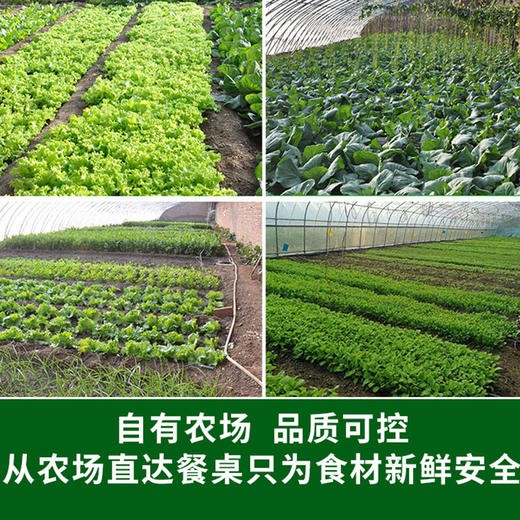 彩虹雨 彩虹会员储值卡 京津冀包邮 自选 新鲜有机食材 商品图4