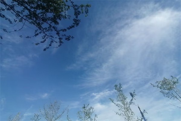 衣服上的油渍怎么去除