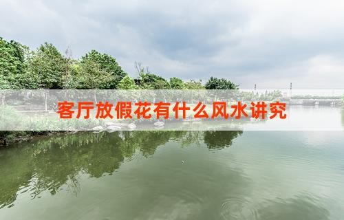 客厅放假花有什么风水讲究
