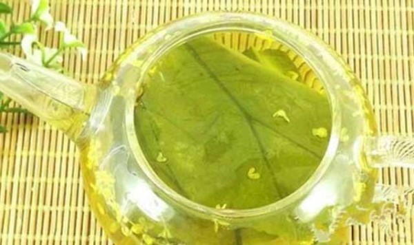 荷叶茶真的能减肥吗 这到底是为什么