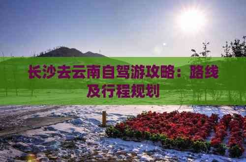 长沙去云南自驾游攻略：路线及行程规划