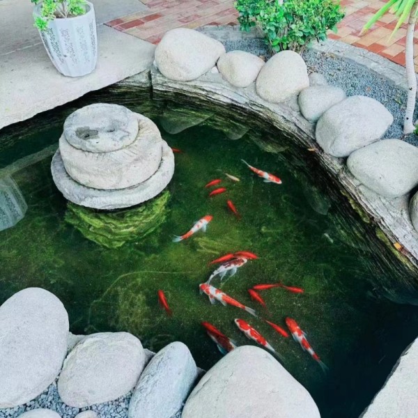 店主头像