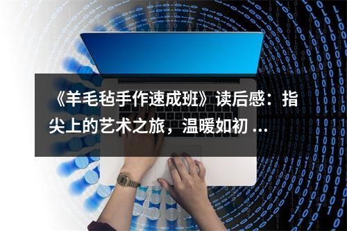《羊毛毡手作速成班》读后感：指尖上的艺术之旅，温暖如初 (800字)