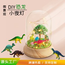 益智手工制作DIY小夜灯 恐龙微景观DIY材料包 跨境小夜灯批发